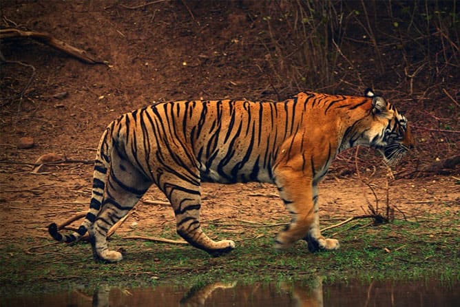 hotel grand stay inn velankanni rooms